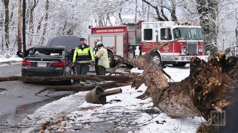 2 people injured after tree falls on car in Douglas